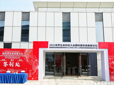 �߷�Փ���ͷ���ą^�e��ʲô